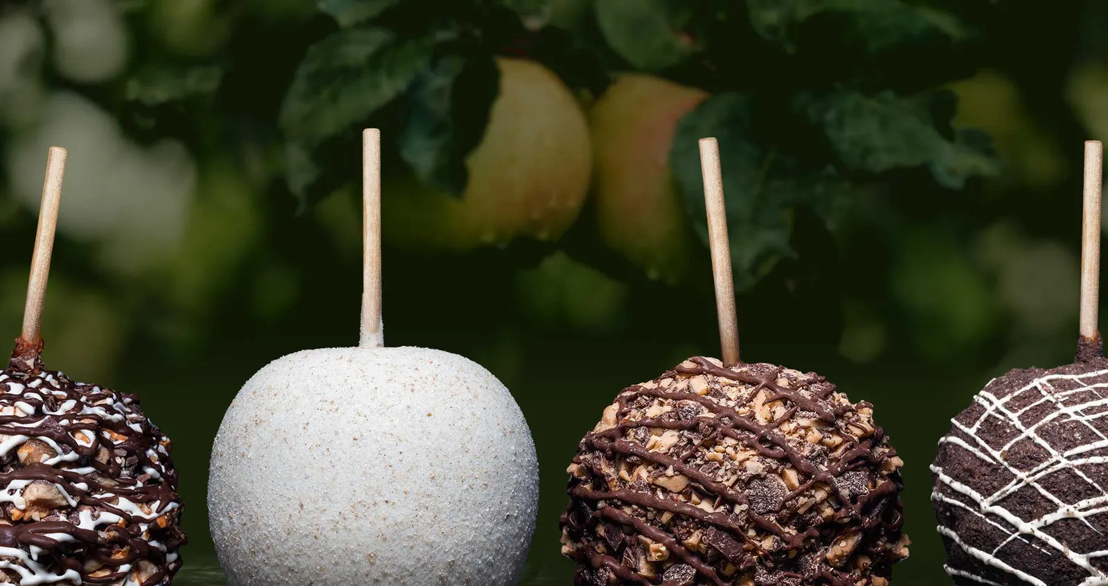 Caramel apples hanging on a Granny Smith branch